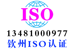 灵山县iso22301业务连续性认证